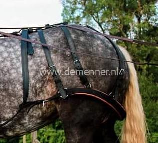 broek voor trekpaard, leer, enkelspan of tweespan ideal equestrian