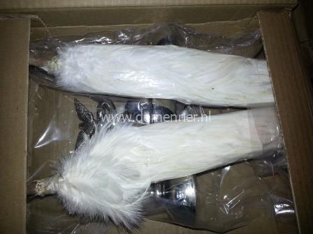 FEATHER JINGLE BELLS
