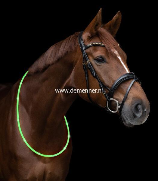 led halsriem fluor