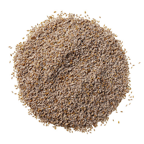 vlozaad psyllium