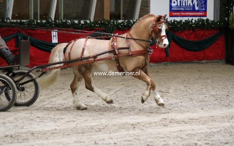 Borsttuig enkelspan LEATHERTECH-600