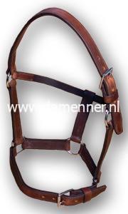 Menhalster leer