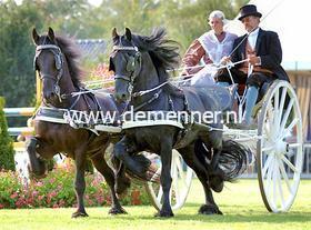 Tweespan borsttuig FRIES Ideal Equestrian