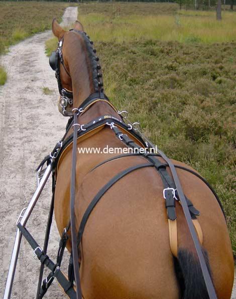 Borsttuig tweespan WEBTECH-610